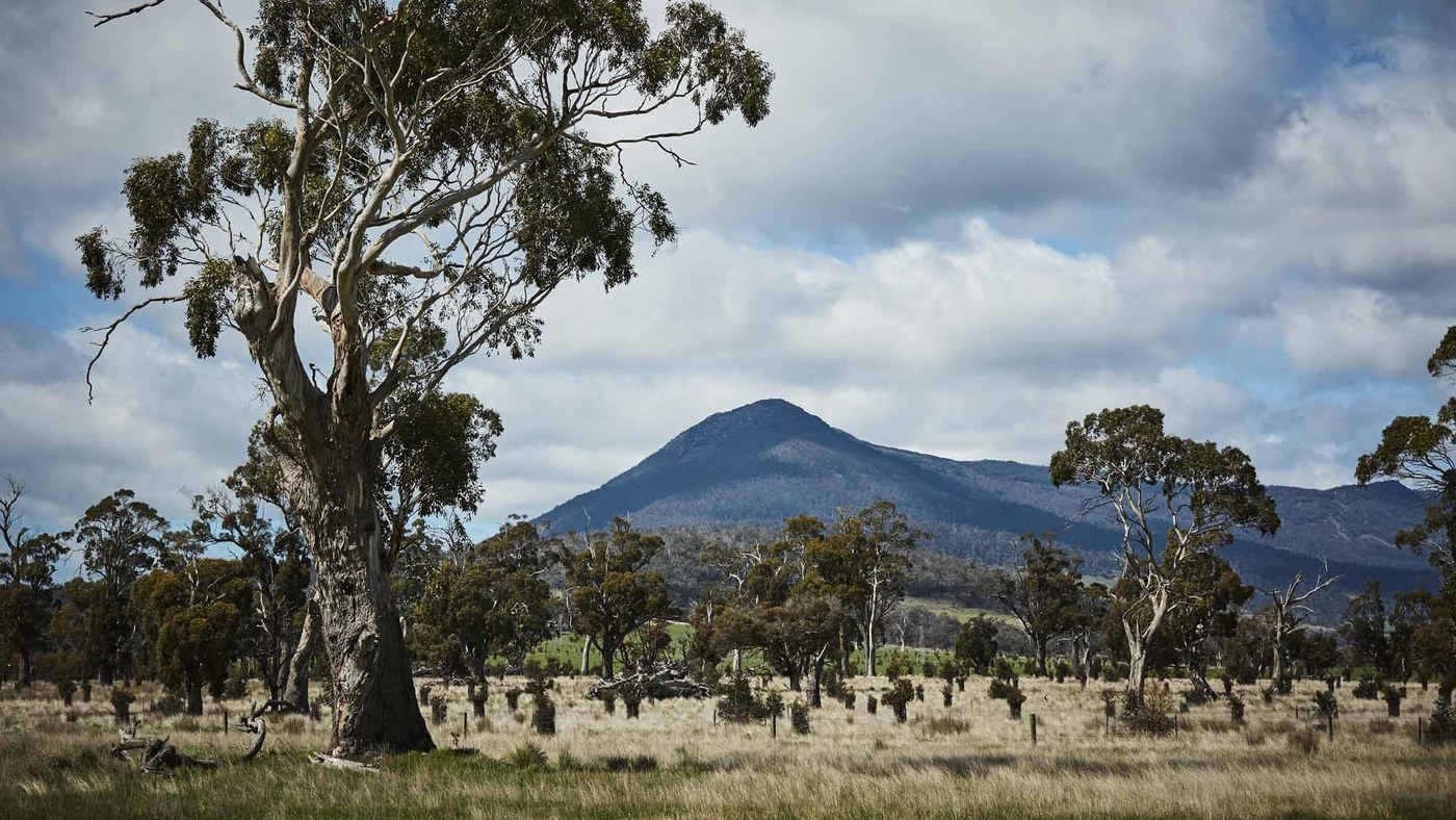 Wool Breakdown Depends on Moisture, Temperature and Microorganisms