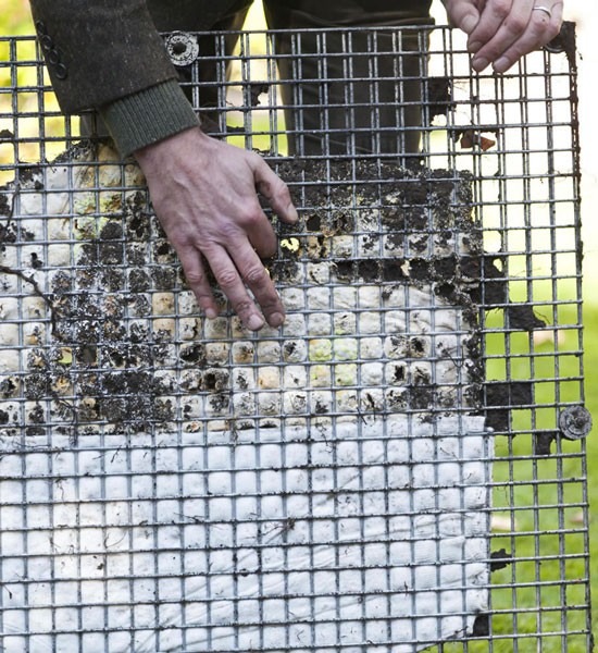 Soil-burial material shown in Woolmark's biodegradability research article.
