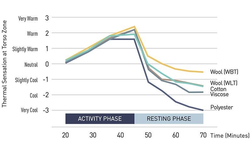 Stop-Go Exercise Research Looks Beyond Steady-State Warmth