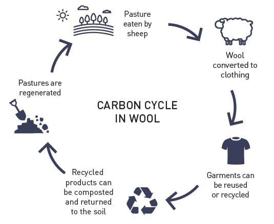 Wool Biodegradation Depends on Moisture and Conditions