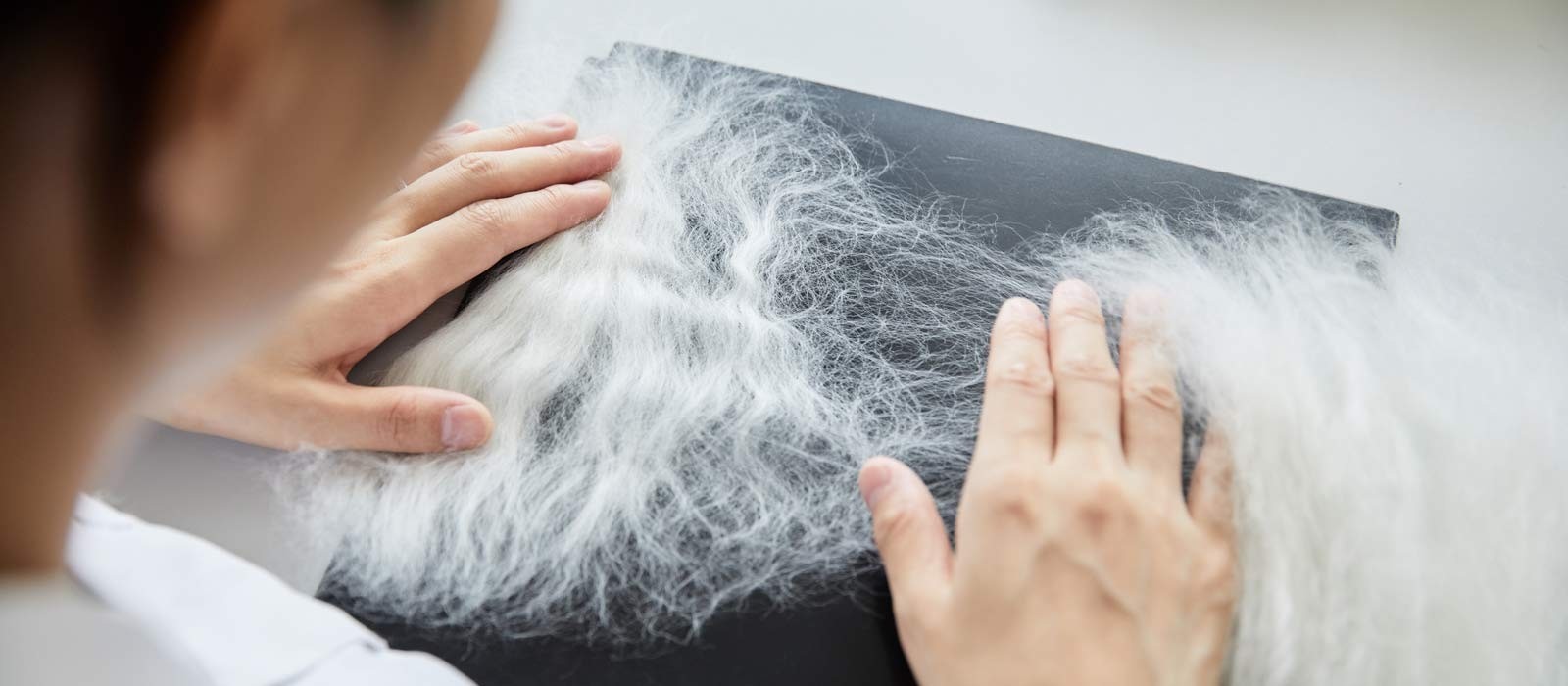 Wool fibers being examined in the Woolmark overview of Merino wool.