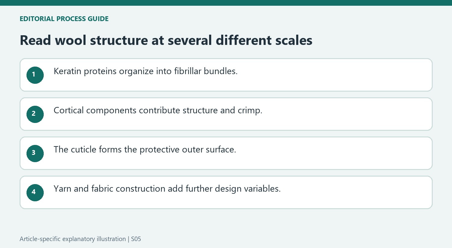 Read wool structure at several different scales