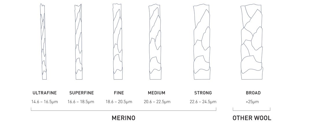 Merino Softness Starts With Fiber Diameter and Bending